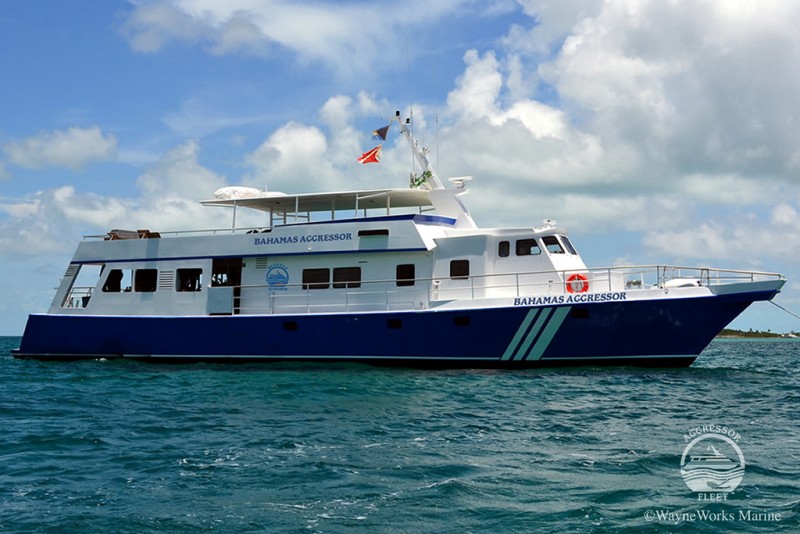 Bahamas Aggressor Luxury Scuba Diving Liveaboard - Caribbean.